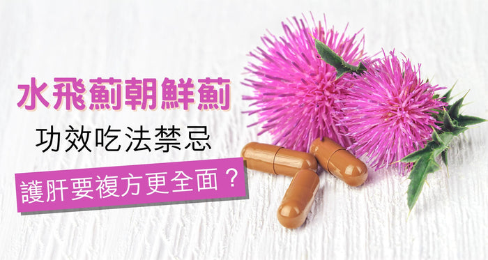 水飛薊朝鮮薊功效吃法禁忌｜複方保健調理肝臟更全面？
