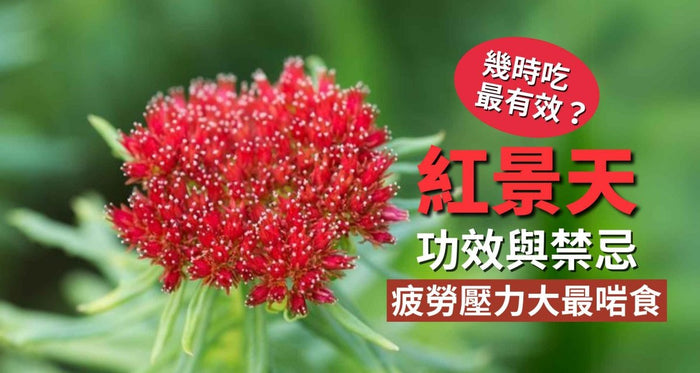 紅景天功效不只防高山！中醫揭4大功效專治疲勞/壓力大 (附禁忌) - Vita Green