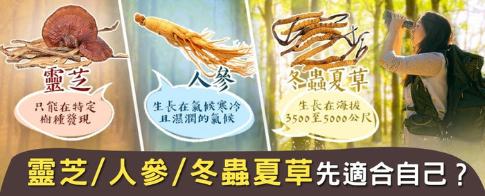 冬蟲夏草、人參、靈芝保健品點揀好？ 首要考慮功效同實際需求