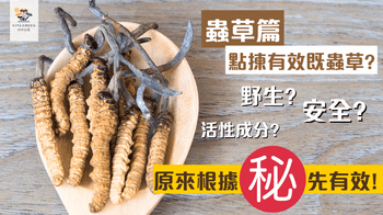 如何揀有效蟲草? 原條野生蟲草又是否最好? - Vita Green
