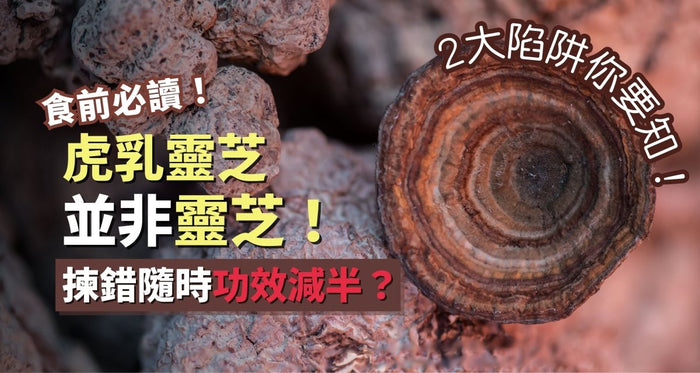 虎乳靈芝並非靈芝！揀錯隨時功效減半？一文睇清功效副作用 - Vita Green