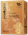 維特健靈 - 五色靈芝 30粒 - 提升免疫力 抗病、攰、殘、衰老 - Vita Green