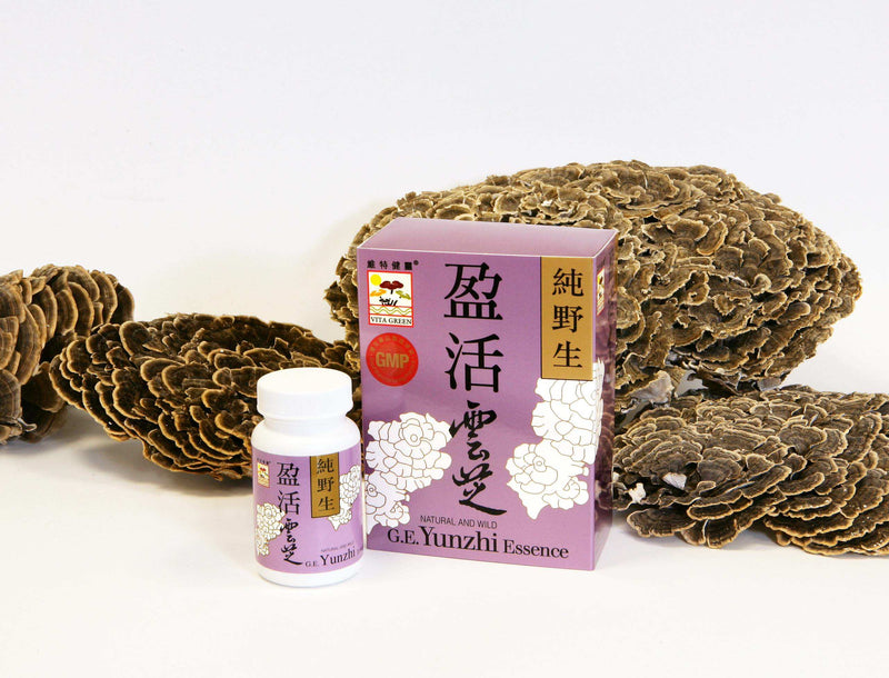 推出專為頑症患者而設的「盈活雲芝」 