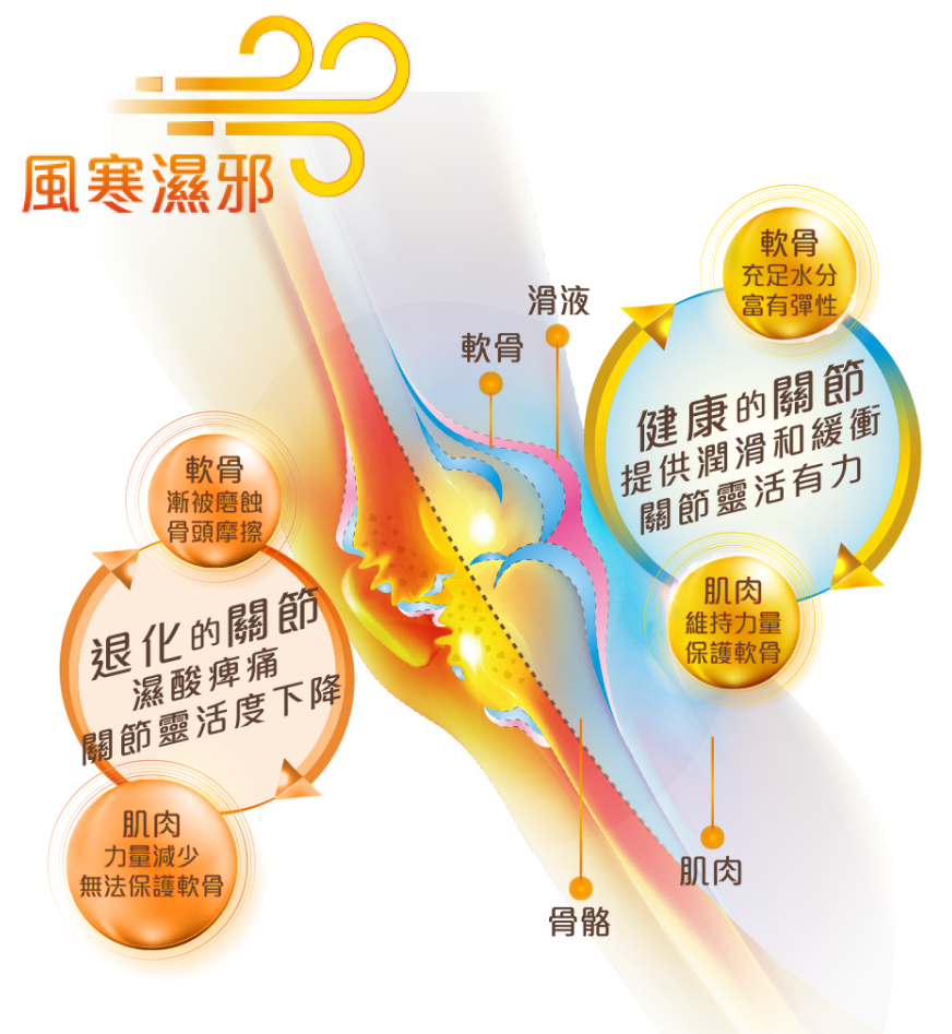 維特健靈強效活關素